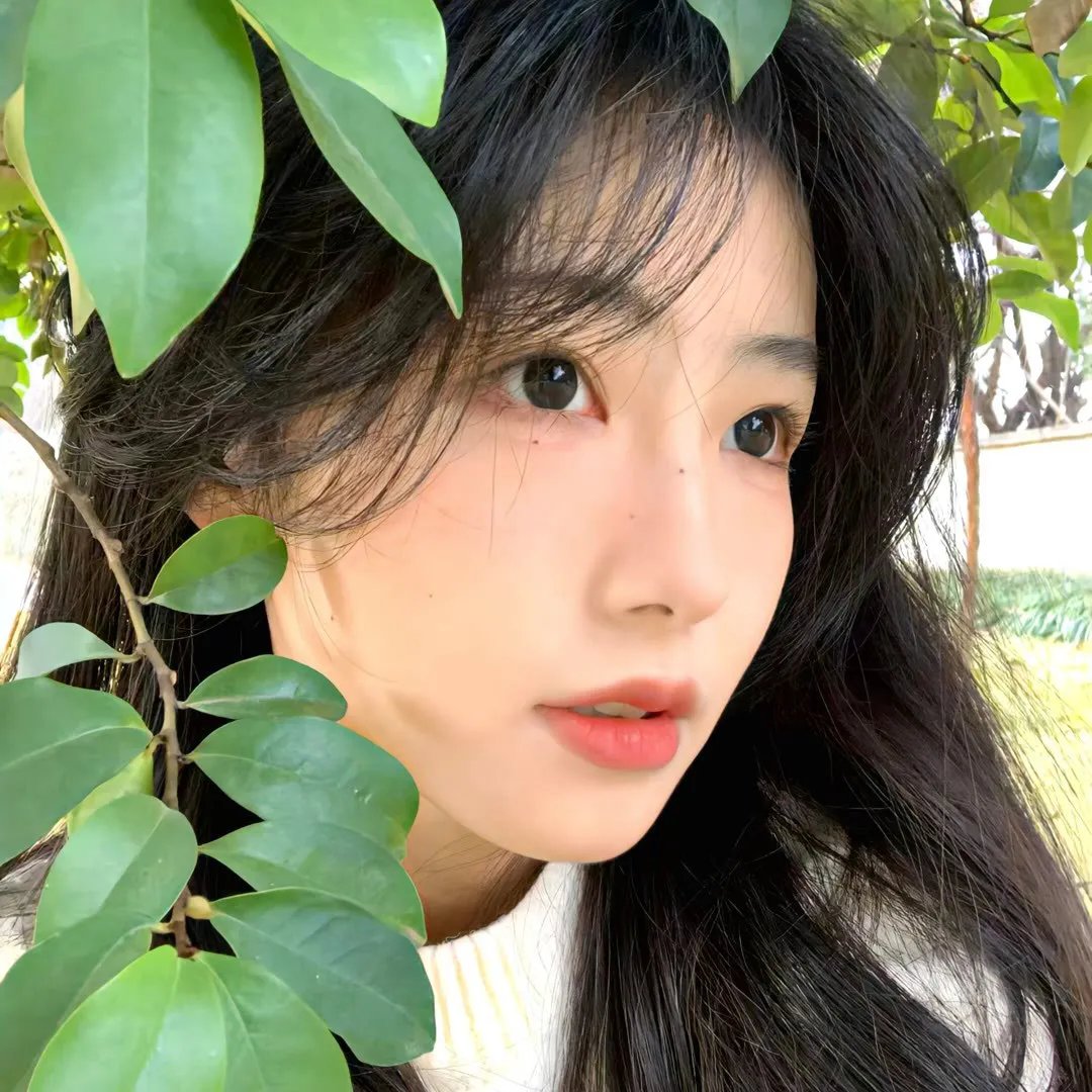 北极世界末日