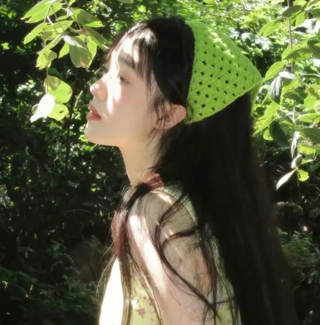 布里叶女士